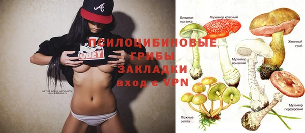 эйфоретик Арсеньев
