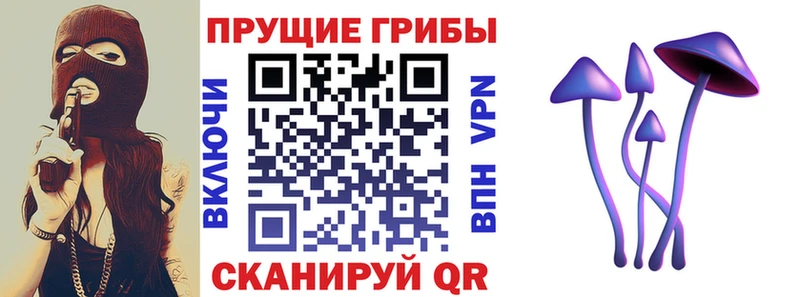 omg ТОР  Новопавловск  Галлюциногенные грибы ЛСД 